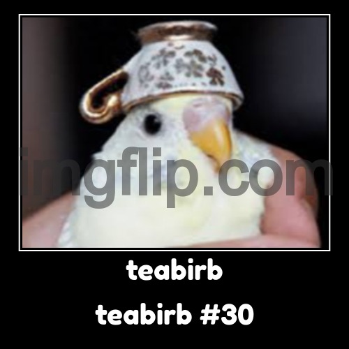 teabirb | teabirb #30 | image tagged in funny,demotivationals | made w/ Imgflip demotivational maker