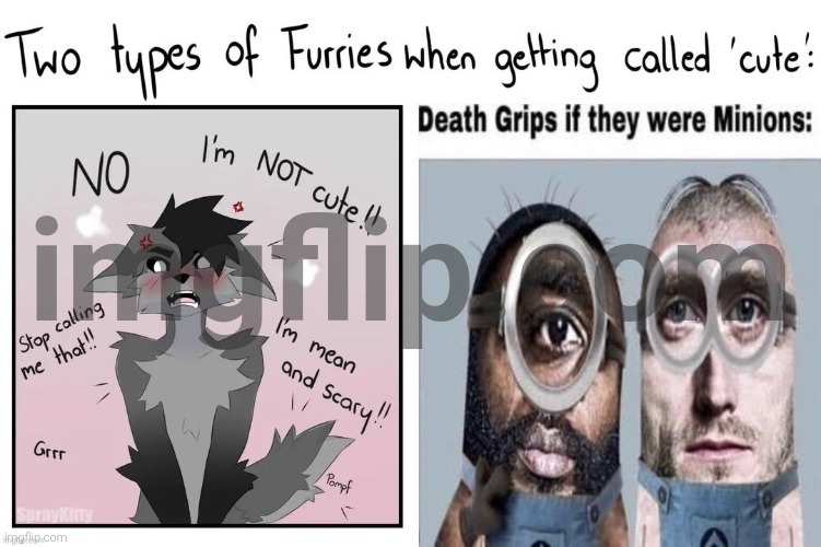 image tagged in furry | made w/ Imgflip meme maker