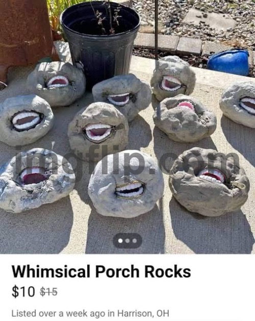 . | image tagged in 3roeg9 | made w/ Imgflip meme maker