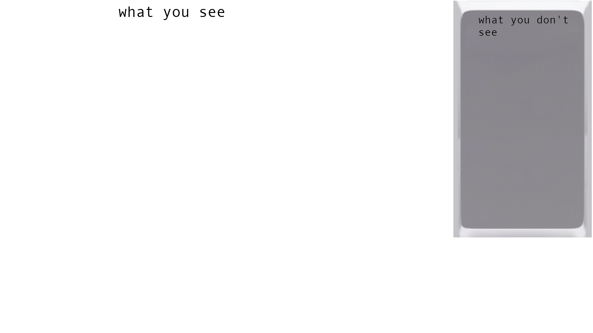 What you see/What you don't see Blank Meme Template