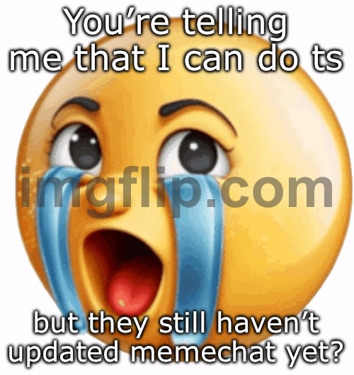 Realistic sob crying emoji | You’re telling me that I can do ts; but they still haven’t updated memechat yet? | image tagged in realistic sob crying emoji | made w/ Imgflip meme maker