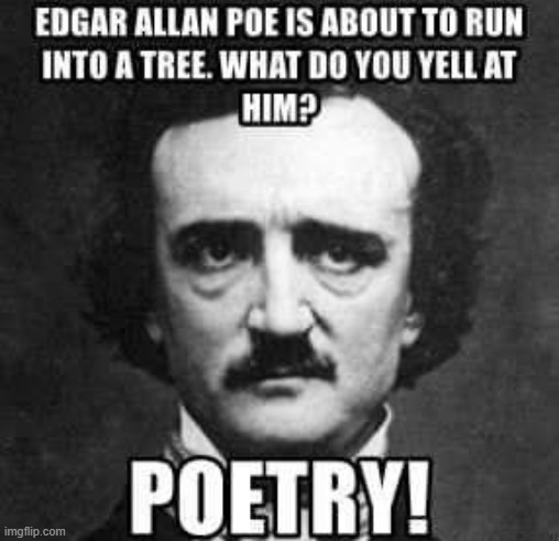 Poe! | image tagged in repost | made w/ Imgflip meme maker