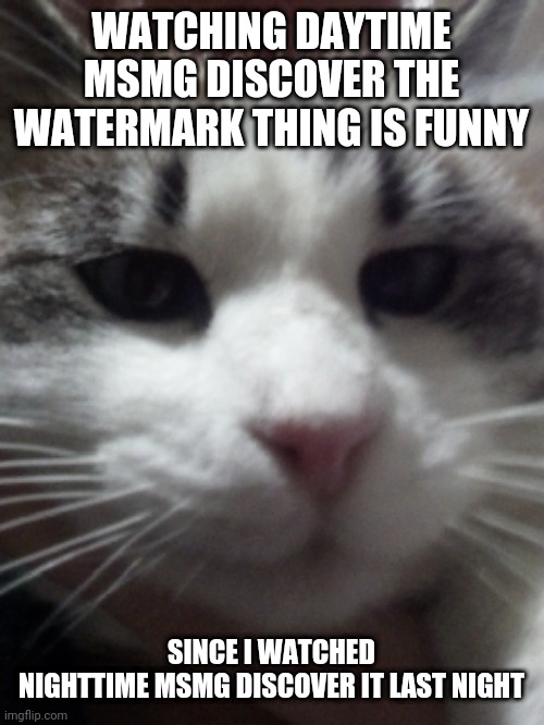 Sour Hart announcement template | WATCHING DAYTIME MSMG DISCOVER THE WATERMARK THING IS FUNNY; SINCE I WATCHED NIGHTTIME MSMG DISCOVER IT LAST NIGHT | image tagged in sour hart announcement template | made w/ Imgflip meme maker