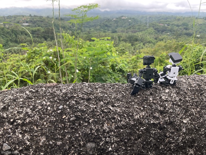 more pics in the comments y’all | image tagged in shiro,kuro | made w/ Imgflip meme maker