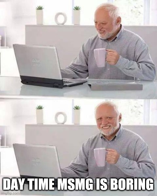 Hide the Pain Harold Meme | DAY TIME MSMG IS BORING | image tagged in memes,hide the pain harold | made w/ Imgflip meme maker