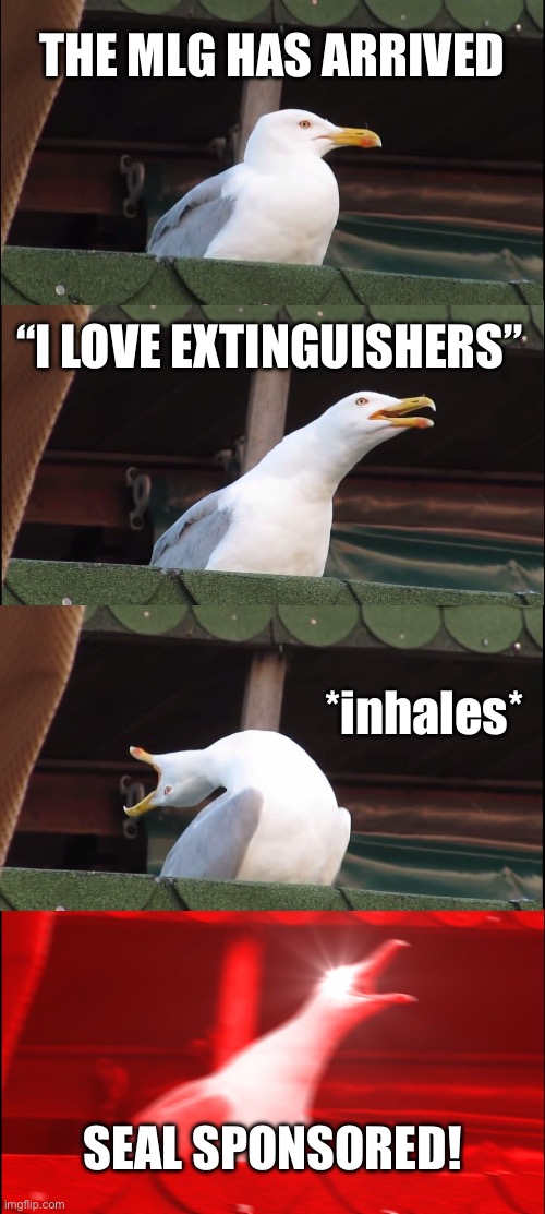 you know the PASS method? | THE MLG HAS ARRIVED; “I LOVE EXTINGUISHERS”; *inhales*; SEAL SPONSORED! | image tagged in memes,inhaling seagull,fire extinguisher | made w/ Imgflip meme maker