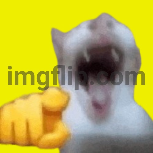 laughing cat | image tagged in laughing cat | made w/ Imgflip meme maker