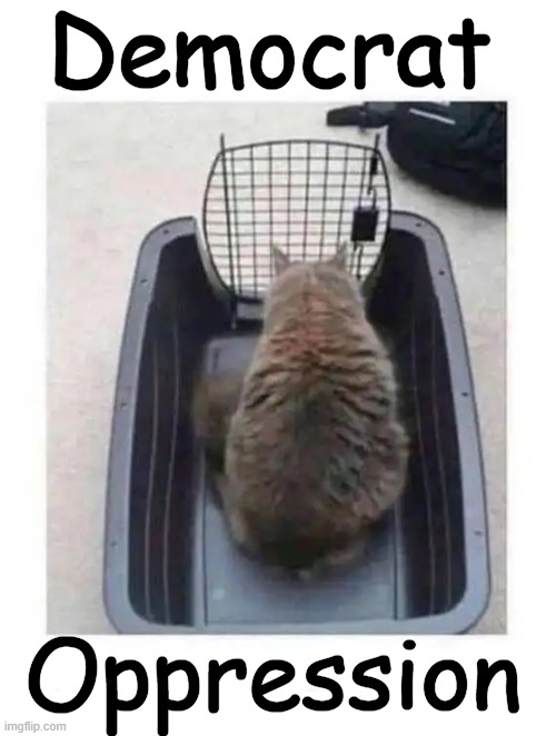 While whining about racism like a broken record | Democrat; Oppression | image tagged in get a life,whiners,complaining,repeat,crying democrats,liberal tears | made w/ Imgflip meme maker