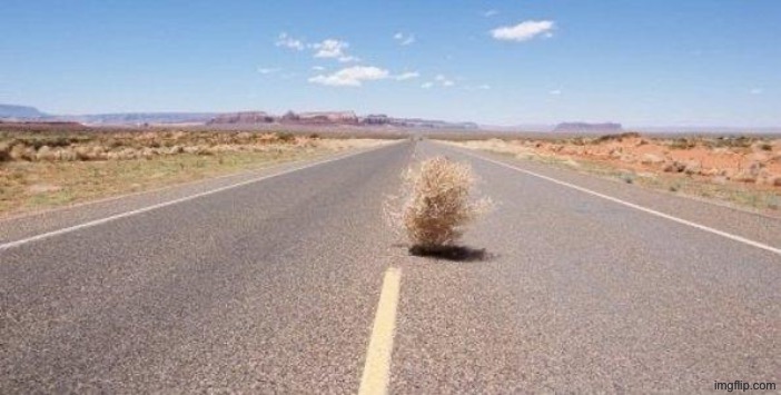 tumbleweed | image tagged in tumbleweed | made w/ Imgflip meme maker