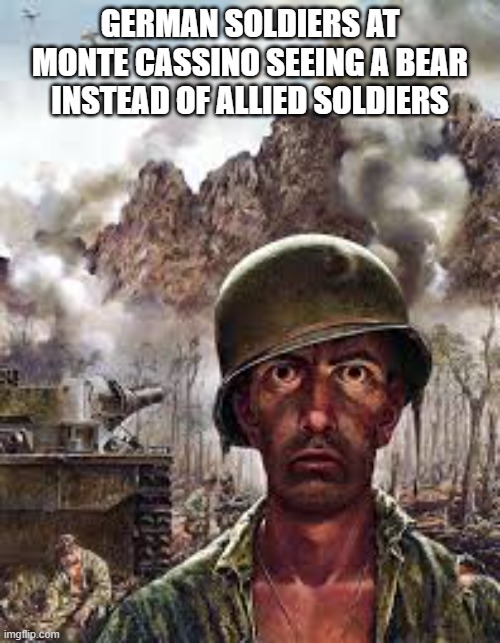 soldier | GERMAN SOLDIERS AT MONTE CASSINO SEEING A BEAR INSTEAD OF ALLIED SOLDIERS | image tagged in traumatized soldier | made w/ Imgflip meme maker