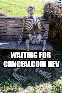 WAITING FOR CONCEALCOIN DEV | made w/ Imgflip meme maker
