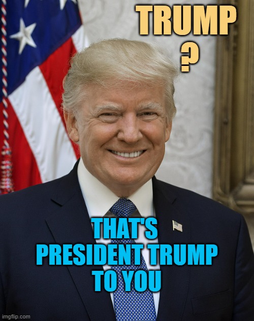 TWICE DULY ELECTED POTUS | TRUMP 
? THAT'S 
PRESIDENT TRUMP
TO YOU | image tagged in official president donald trump,president trump,trump bill signing,melania trump,technology,globalism | made w/ Imgflip meme maker