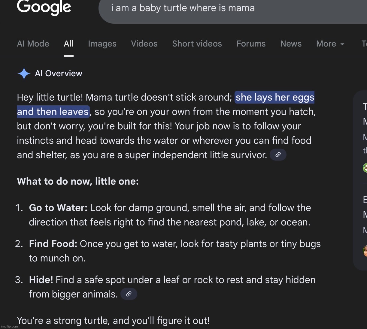 Okay | made w/ Imgflip meme maker