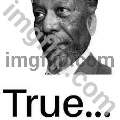 Morgan Freeman True | image tagged in morgan freeman true | made w/ Imgflip meme maker