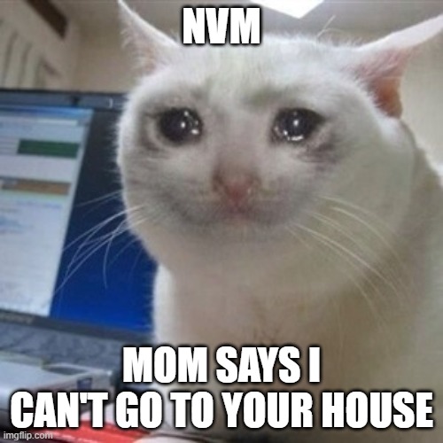 Crying cat | NVM; MOM SAYS I CAN'T GO TO YOUR HOUSE | image tagged in crying cat | made w/ Imgflip meme maker