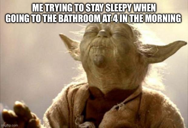 yoda smell | ME TRYING TO STAY SLEEPY WHEN GOING TO THE BATHROOM AT 4 IN THE MORNING | image tagged in yoda smell | made w/ Imgflip meme maker