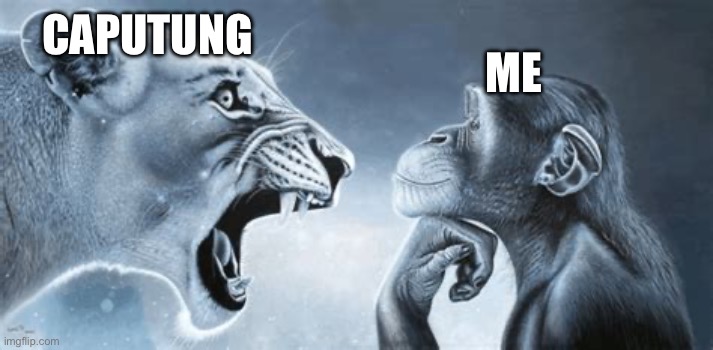 tiger yell at pondering monkey | CAPUTUNG ME | image tagged in tiger yell at pondering monkey | made w/ Imgflip meme maker