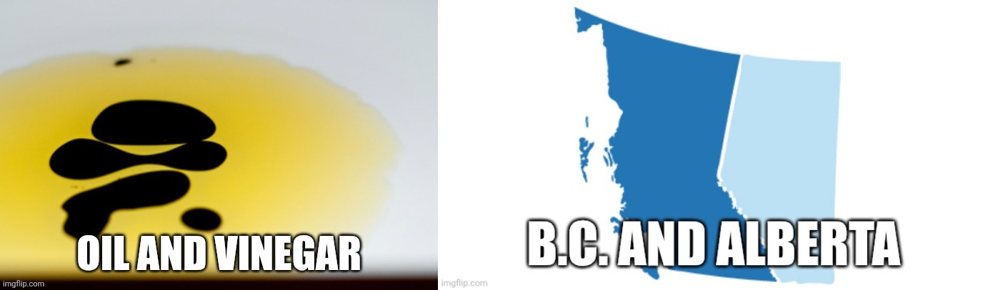 Canadian politics | image tagged in political meme | made w/ Imgflip meme maker