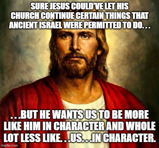 Jesus christ | SURE JESUS COULD'VE LET HIS CHURCH CONTINUE CERTAIN THINGS THAT ANCIENT ISRAEL WERE PERMITTED TO DO. . . . . .BUT HE WANTS US TO BE MORE LIK | image tagged in jesus christ | made w/ Imgflip meme maker