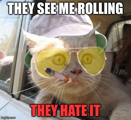 Fear And Loathing Cat | THEY SEE ME ROLLING THEY HATE IT | image tagged in memes,fear and loathing cat | made w/ Imgflip meme maker