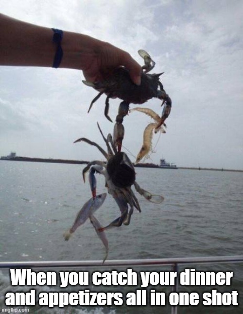 Catch Dinner | When you catch your dinner and appetizers all in one shot | image tagged in fishing,catch,dinner,efficient | made w/ Imgflip meme maker