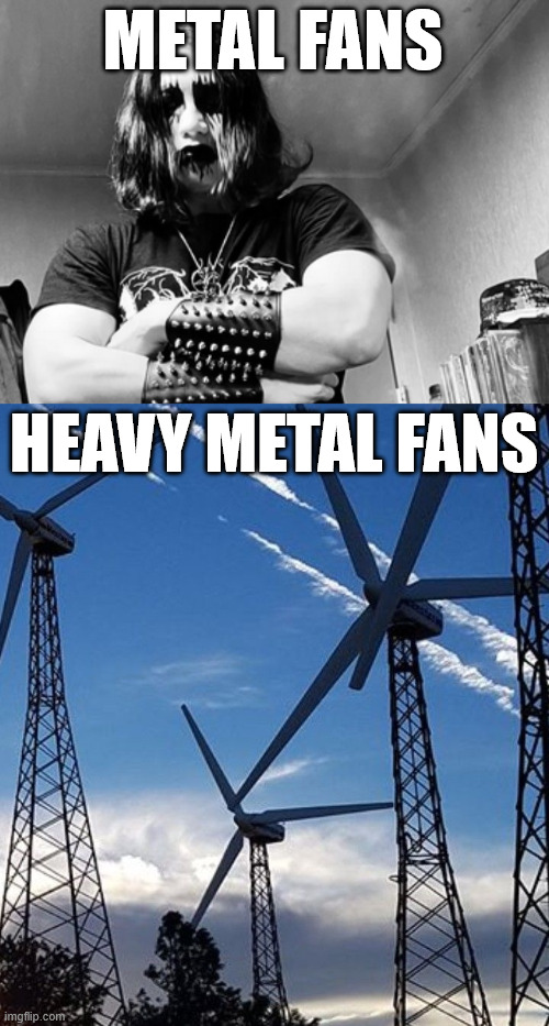 Heavy Metal Fans | METAL FANS; HEAVY METAL FANS | image tagged in metal,lattice climbing,climbing,heavy metal,climbing memes,latticeclimbing | made w/ Imgflip meme maker