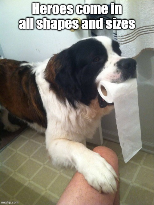 Holding Out For A Hero | Heroes come in all shapes and sizes | image tagged in dog,hero,savior,good boy,bathroom humor | made w/ Imgflip meme maker