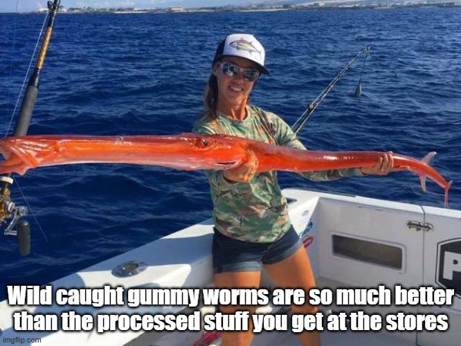 Gummy Worm | Wild caught gummy worms are so much better than the processed stuff you get at the stores | image tagged in gummy bears,worms,fresh,yummy | made w/ Imgflip meme maker