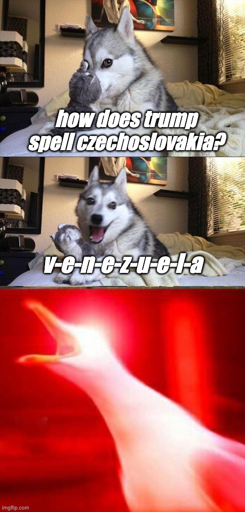 Bad Pun Dog Meme | how does trump spell czechoslovakia? v-e-n-e-z-u-e-l-a | image tagged in memes,bad pun dog | made w/ Imgflip meme maker