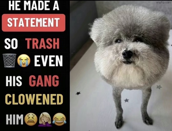 He made a statement so trash | image tagged in he made a statement so trash | made w/ Imgflip meme maker
