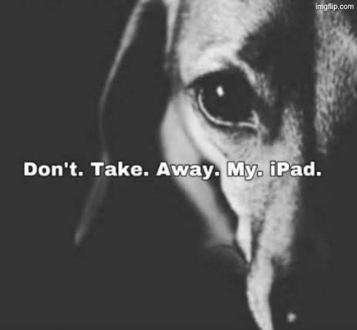 Since we’re on the topic of ipads | made w/ Imgflip meme maker