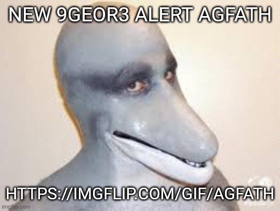 Agfath link in comments | NEW 9GEOR3 ALERT AGFATH; HTTPS://IMGFLIP.COM/GIF/AGFATH | image tagged in dolphin guy | made w/ Imgflip meme maker
