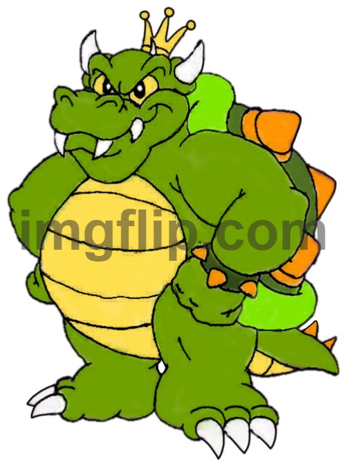King Koopa | image tagged in king koopa | made w/ Imgflip meme maker