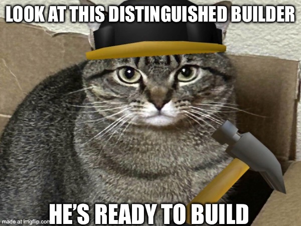 Distinguished builder | LOOK AT THIS DISTINGUISHED BUILDER; HE’S READY TO BUILD | image tagged in animal | made w/ Imgflip meme maker