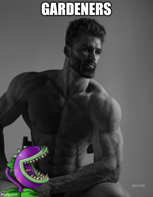 Giga Chad | GARDENERS | image tagged in giga chad | made w/ Imgflip meme maker