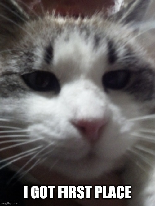 Sour Hart announcement template | I GOT FIRST PLACE | image tagged in sour hart announcement template,wrestling | made w/ Imgflip meme maker