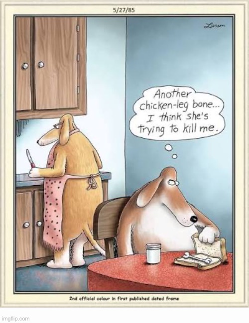 Maybe… | image tagged in the far side,comics,dogs,chicken leg bone,murder plot | made w/ Imgflip meme maker