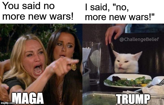 No, more new wars | You said no more new wars! I said, "no, more new wars!"; @ChallengeBelief; MAGA; TRUMP | image tagged in memes,woman yelling at cat | made w/ Imgflip meme maker