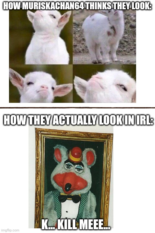 THEY ARE NOT A GOAT, THEY ARE THIS AMANTRONIC | HOW MURISKACHAN64 THINKS THEY LOOK:; HOW THEY ACTUALLY LOOK IN IRL:; K... KILL MEEE... | image tagged in chuck e cheese,dream face reveal | made w/ Imgflip meme maker