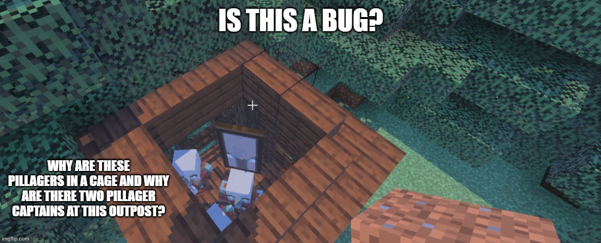 Two Illager Captains at Pillager Outpost | IS THIS A BUG? WHY ARE THESE PILLAGERS IN A CAGE AND WHY ARE THERE TWO PILLAGER CAPTAINS AT THIS OUTPOST? | image tagged in two illager captains at pillager outpost | made w/ Imgflip meme maker