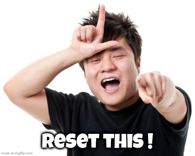 You're a loser | Reset this ! | image tagged in you're a loser | made w/ Imgflip meme maker