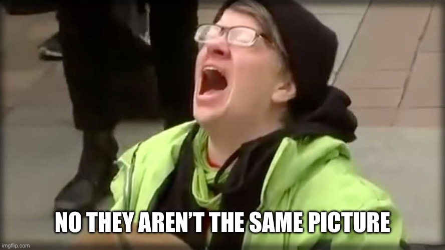 Trump SJW No | NO THEY AREN’T THE SAME PICTURE | image tagged in trump sjw no | made w/ Imgflip meme maker