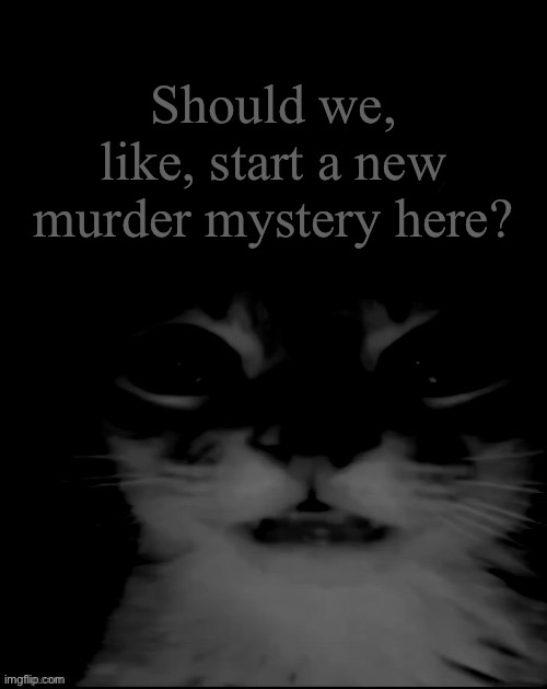orange cat uncanny stare | Should we, like, start a new murder mystery here? | image tagged in orange cat uncanny stare | made w/ Imgflip meme maker