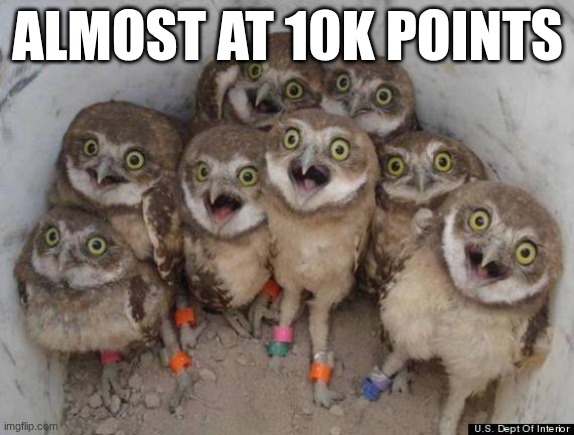 almost there | ALMOST AT 10K POINTS | image tagged in amazed owls | made w/ Imgflip meme maker