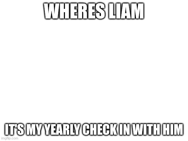 WHERES LIAM; IT'S MY YEARLY CHECK IN WITH HIM | made w/ Imgflip meme maker