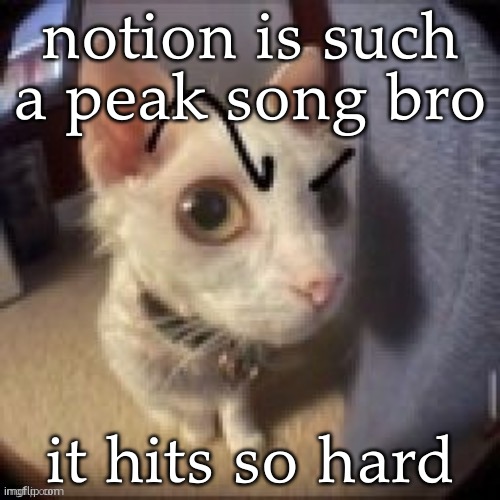 Side Eye Eyebrow Raise Cat | notion is such a peak song bro; it hits so hard | image tagged in side eye eyebrow raise cat | made w/ Imgflip meme maker