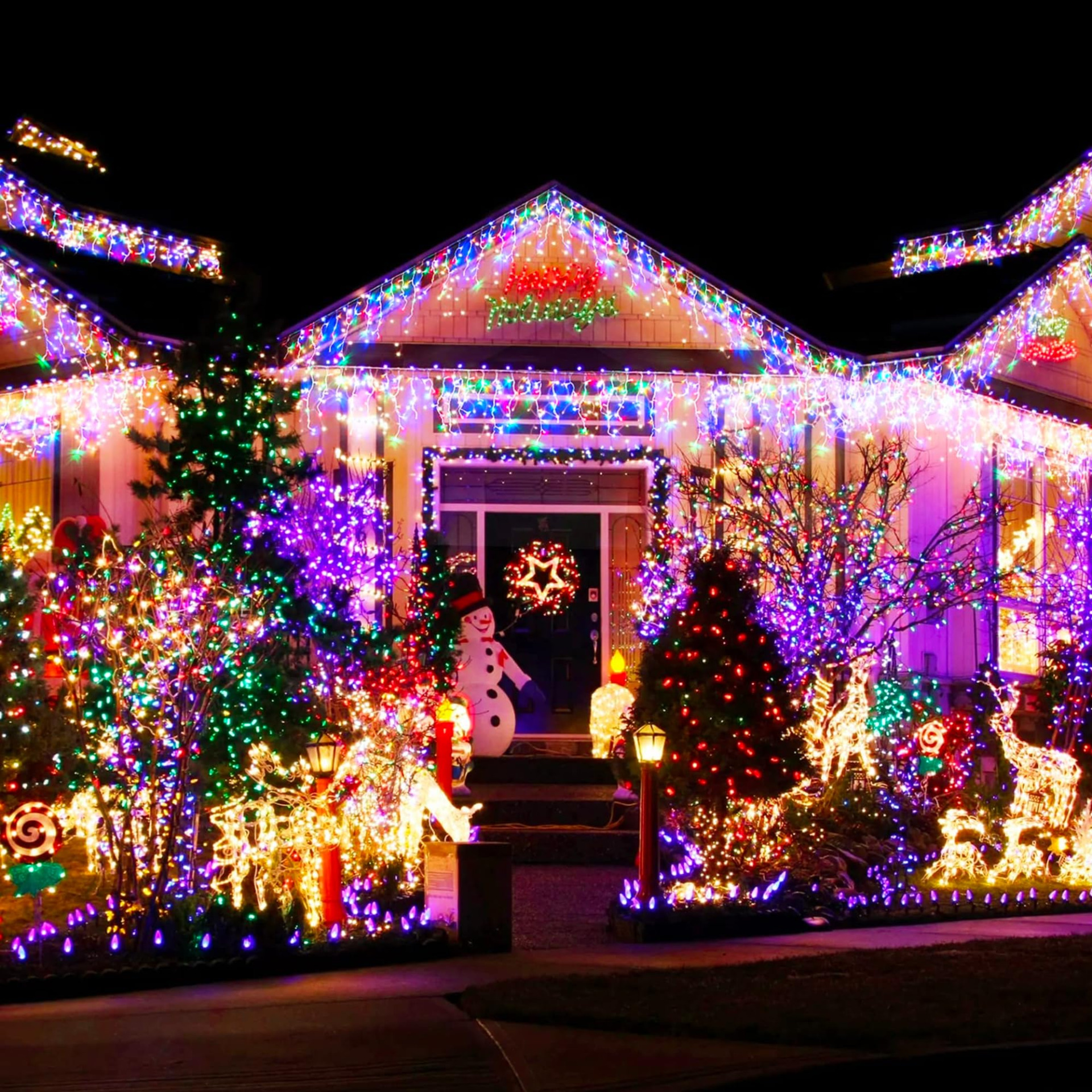 Super decorated Christmas house Blank Meme Template