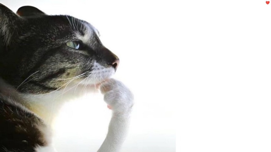 Thinker | image tagged in thinker | made w/ Imgflip meme maker