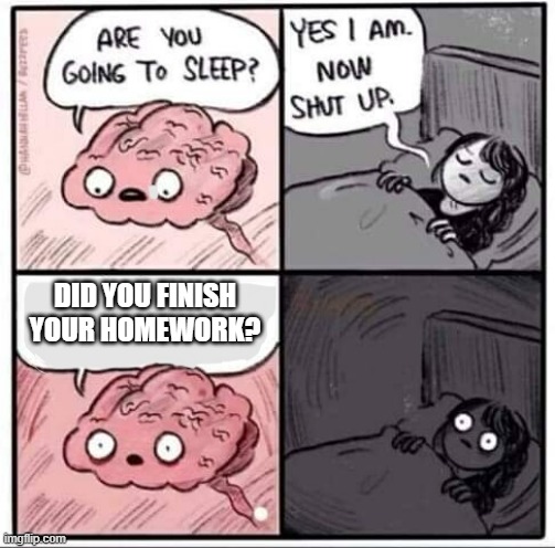 Are you going to sleep? | DID YOU FINISH YOUR HOMEWORK? | image tagged in are you going to sleep | made w/ Imgflip meme maker