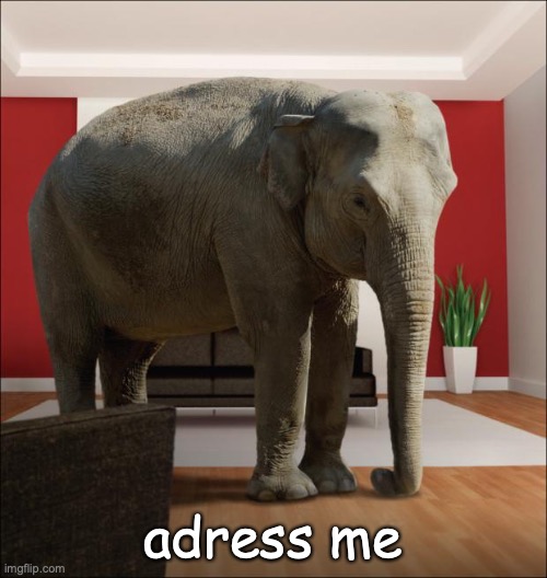 Elephant In The Room | adress me | image tagged in elephant in the room | made w/ Imgflip meme maker